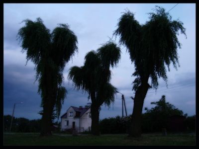 Kliknij by zobaczy� oryginalny obraz
