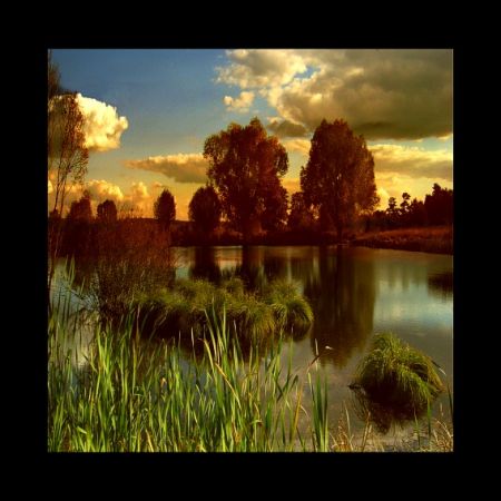 Kliknij by zobaczy� oryginalny obraz