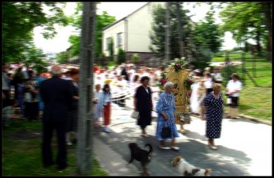 Kliknij by zobaczy� oryginalny obraz